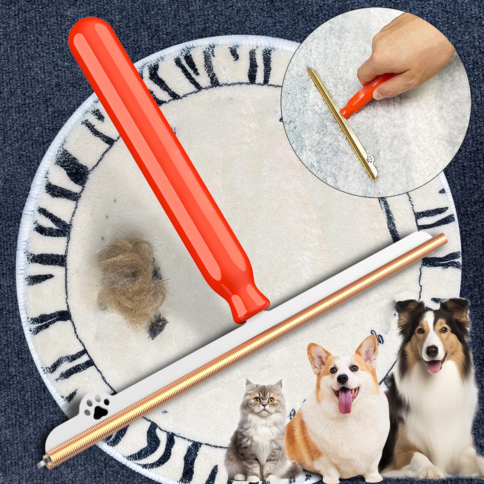 애완동물 털 제거용 카펫 레이크 1개, 손잡이가 있는  - Furniture Joint Hardware 리뷰 및 가격